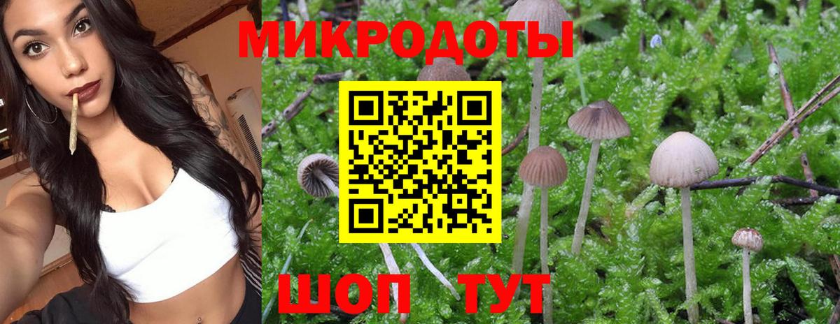 Псилоцибиновые грибы мухоморы  Вход с VPN  Псилоцибиновые грибы GOLDEN TEACHER  Магадан 