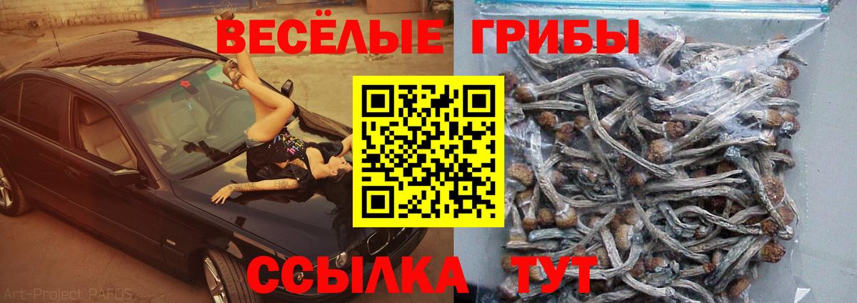 Псилоцибиновые грибы GOLDEN TEACHER Магадан